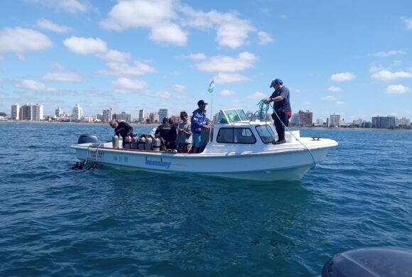 The second fieldwork of the Tectonic project is underway in Puerto Madryn, Argentina